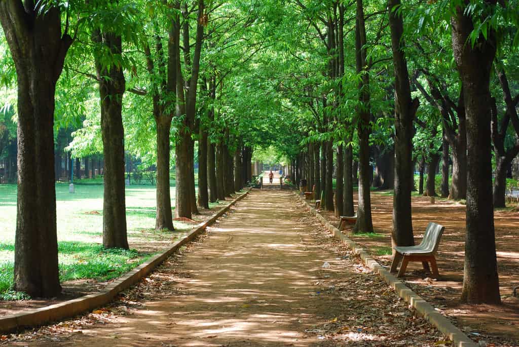 Cubbon Park in Bangalore For Photoshoot